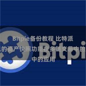 Bitpie备份教程 比特派钱包的资产快照功能在多链交易中的应用