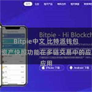 Bitpie中文 比特派钱包的资产快照功能在多链交易中的应用